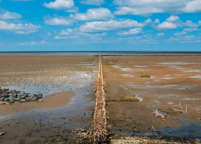 Lägenhet Deichkoje 5